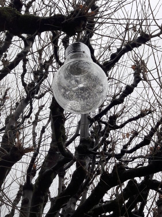 2020-01-08 12-00-40.JPG