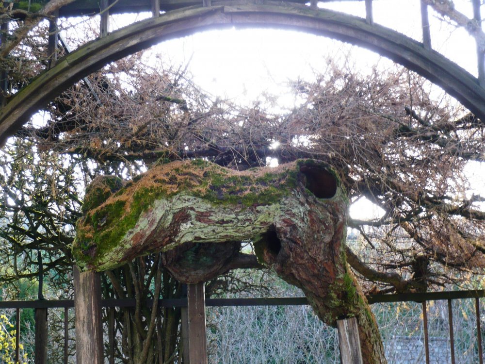 2019-12-16 10-10-15.JPG