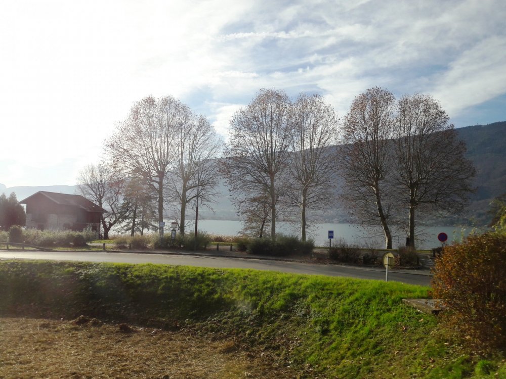 2020-01-08 11-51-43.JPG