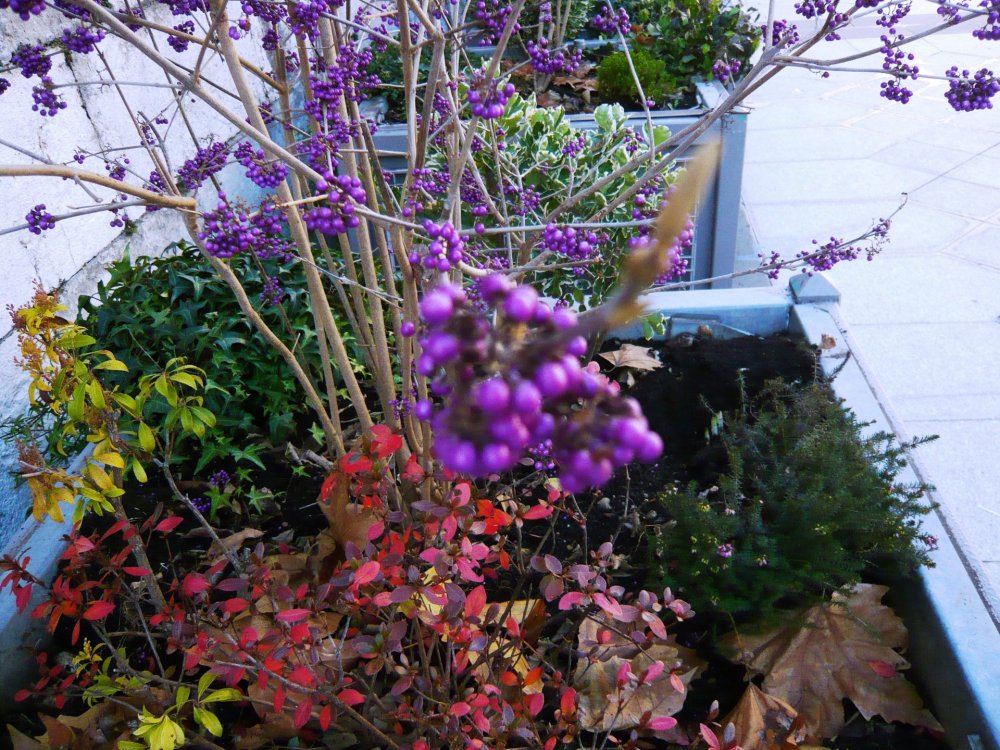 2019-12-15 15-39-57.JPG