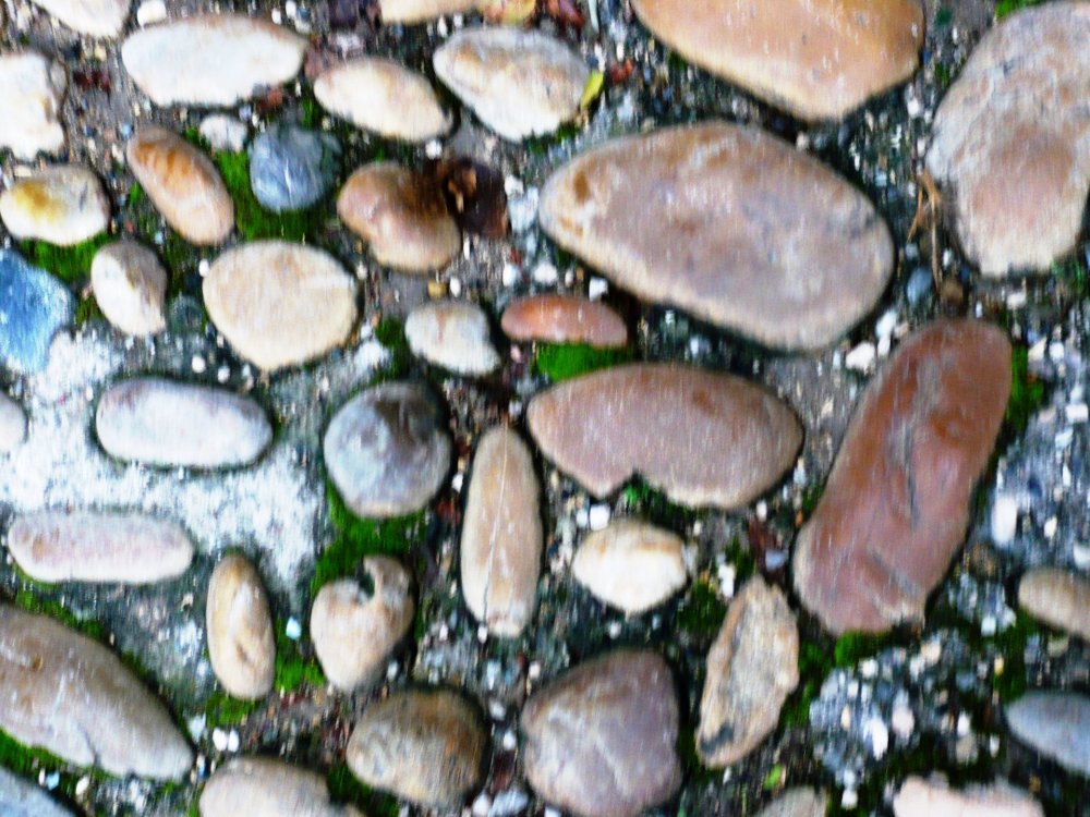 2019-12-16 09-41-23.JPG