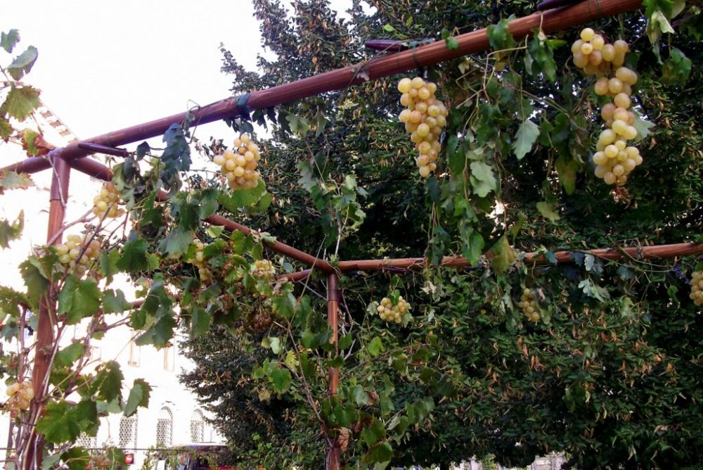 Осенние прогулки по Тичино 411.JPG