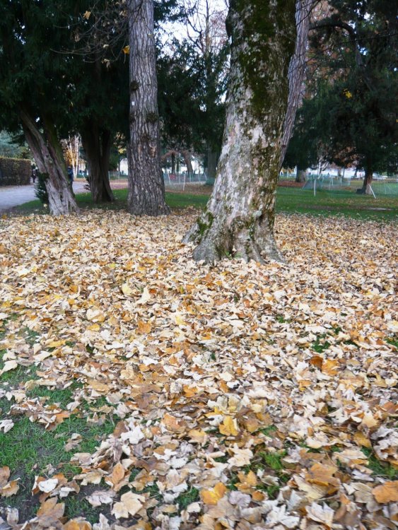 2019-12-15 15-24-08.JPG