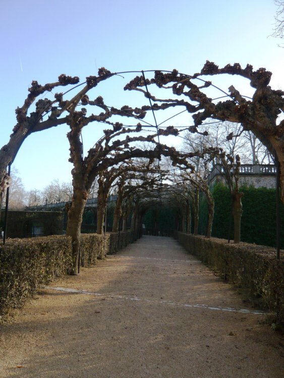 2019-12-16 10-10-10 (2).JPG