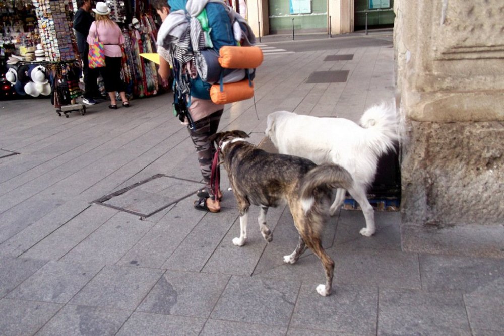 Осенние прогулки по Тичино 426.JPG