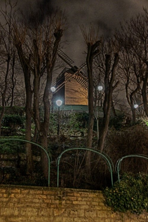 IMG_9750 копия.jpg