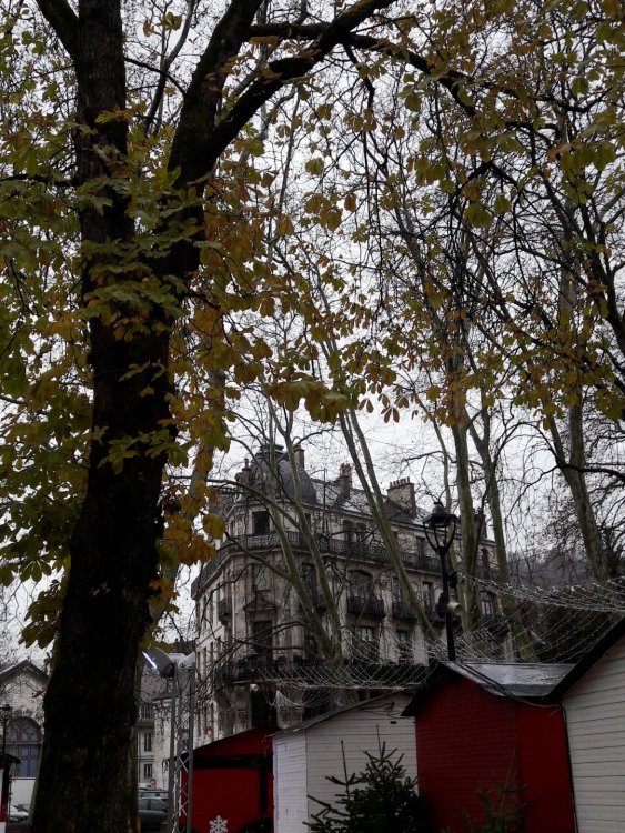 2020-01-08 12-00-49.JPG