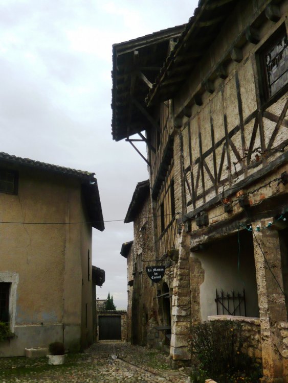 2019-12-16 09-42-21 (2).JPG