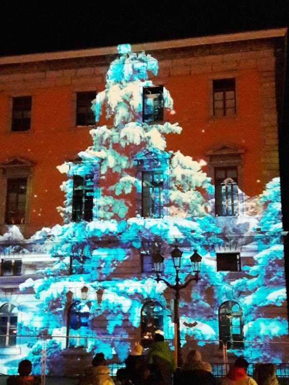 2020-01-08 11-52-24.JPG