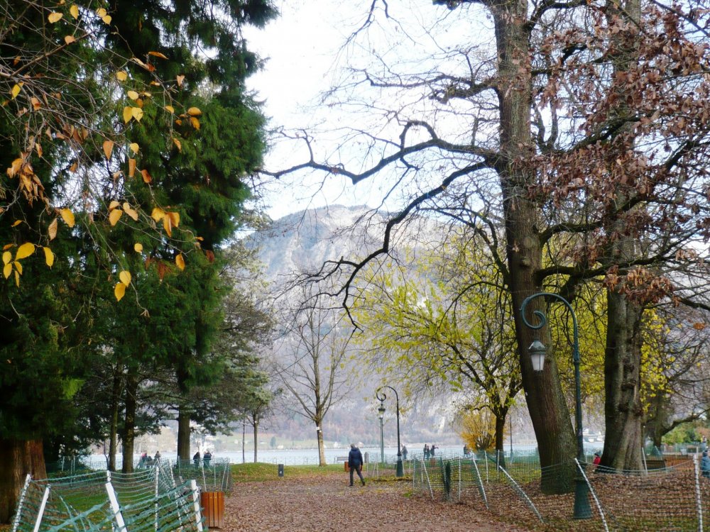 2019-12-15 15-31-19.JPG