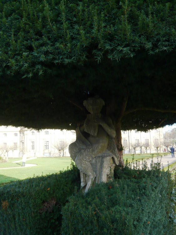 2019-12-16 10-09-59.JPG