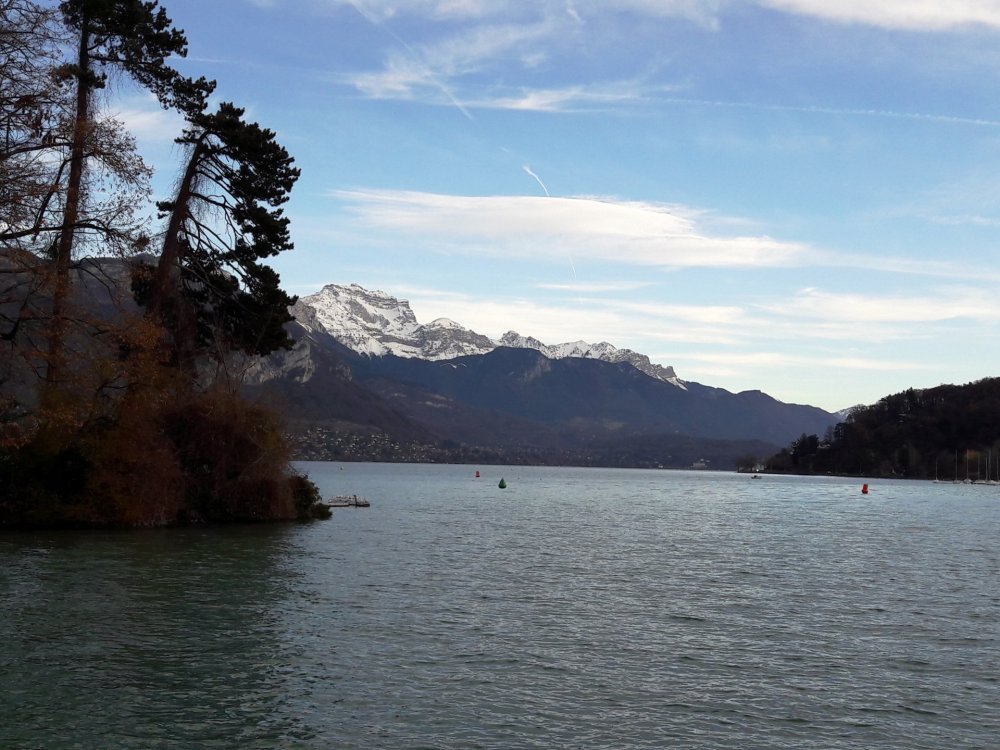 2020-01-08 11-51-57.JPG