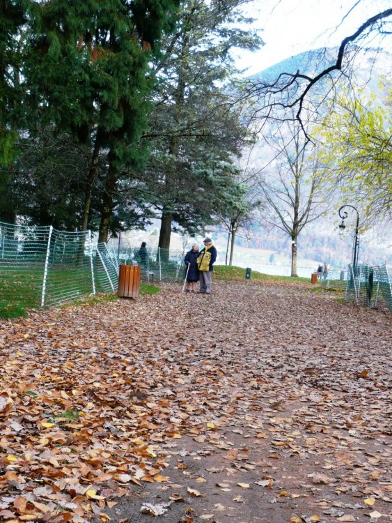 2019-12-15 15-24-09 (2).JPG