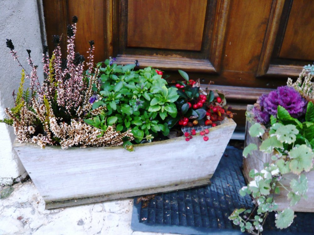 2019-12-16 09-44-09 (2).JPG