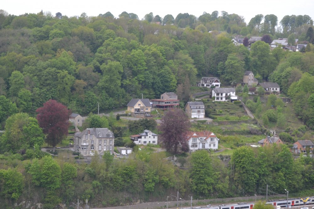 DSC_0962 - копия.JPG