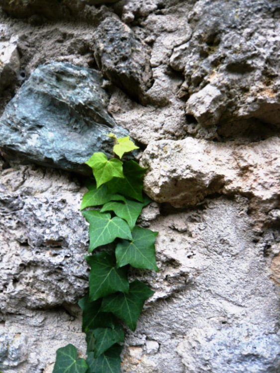 2019-12-16 09-41-57 (2).JPG