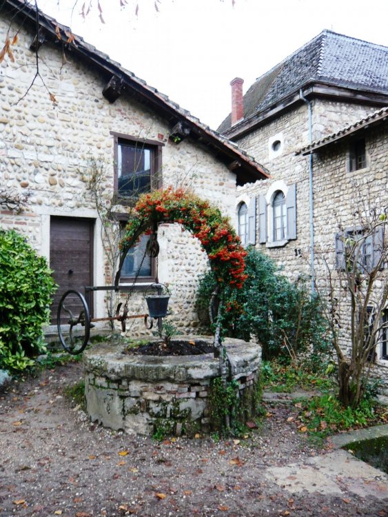 2019-12-16 09-42-00.JPG