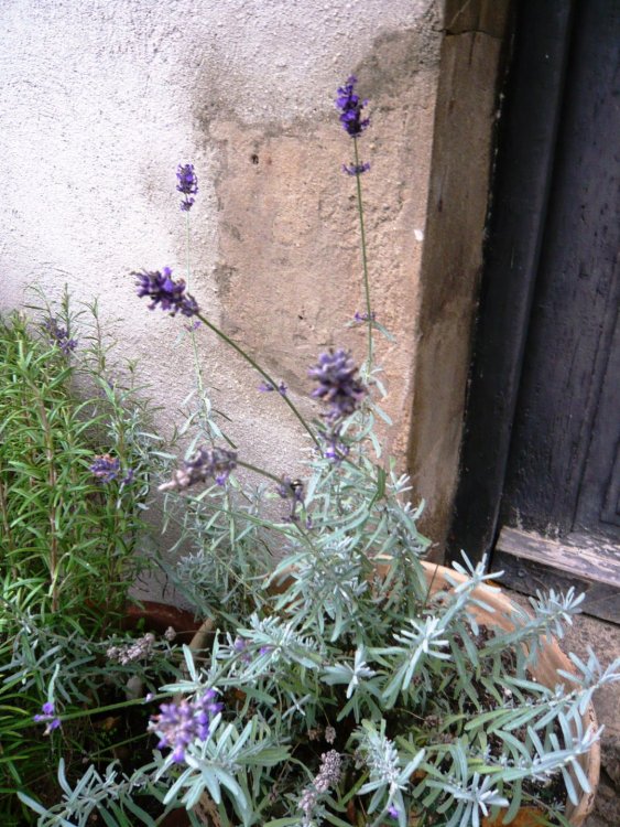 2019-12-16 09-42-33.JPG