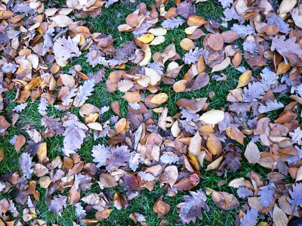 2019-12-15 15-31-17.JPG