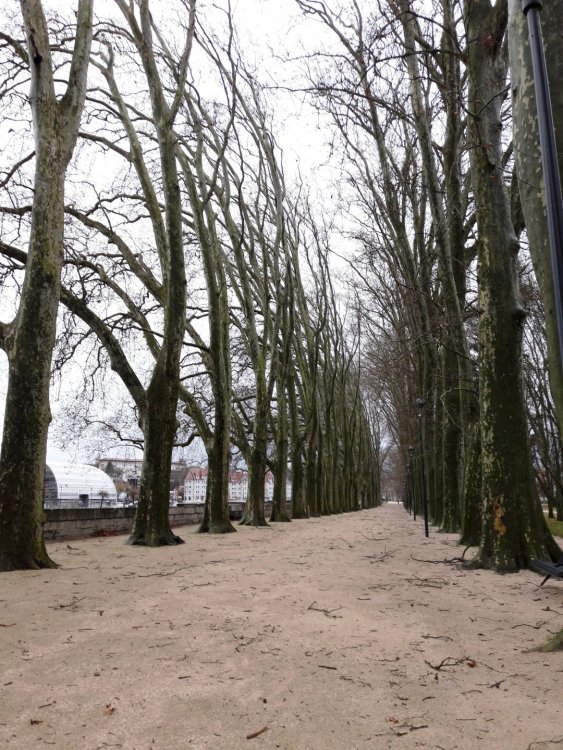 2020-01-08 12-01-13.JPG