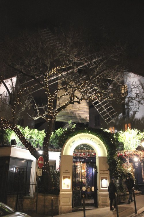 IMG_9762 копия.jpg