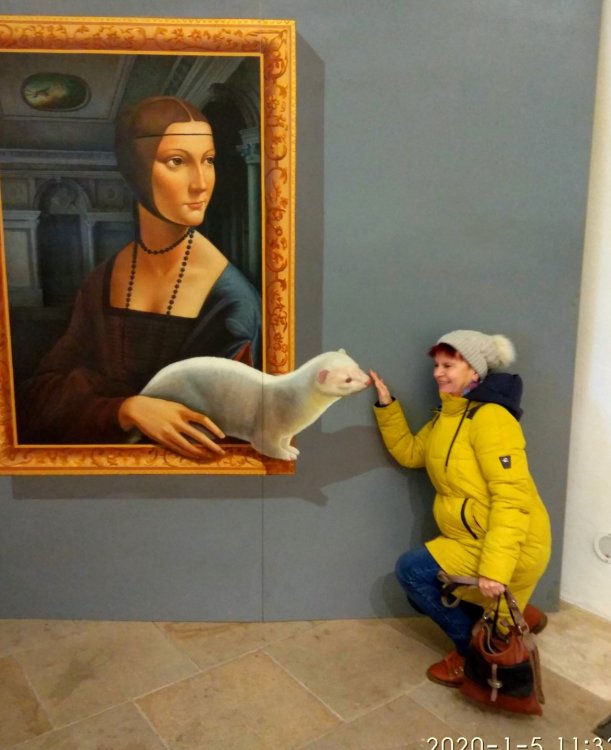 IMG_20200105_113323.jpg 2.jpg 2.jpg