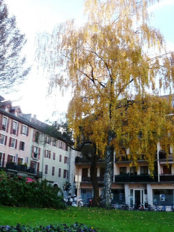 2019-12-15 15-23-25.JPG