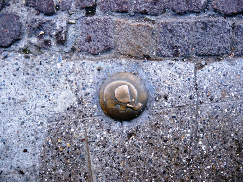 2019-12-15 15-40-10.JPG