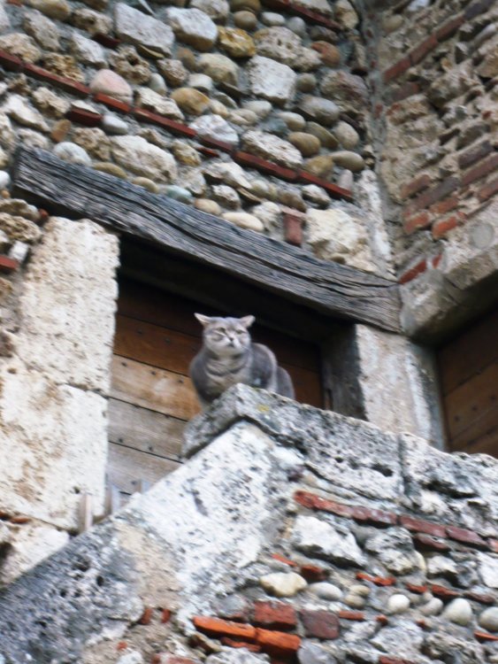 2019-12-16 09-42-05.JPG