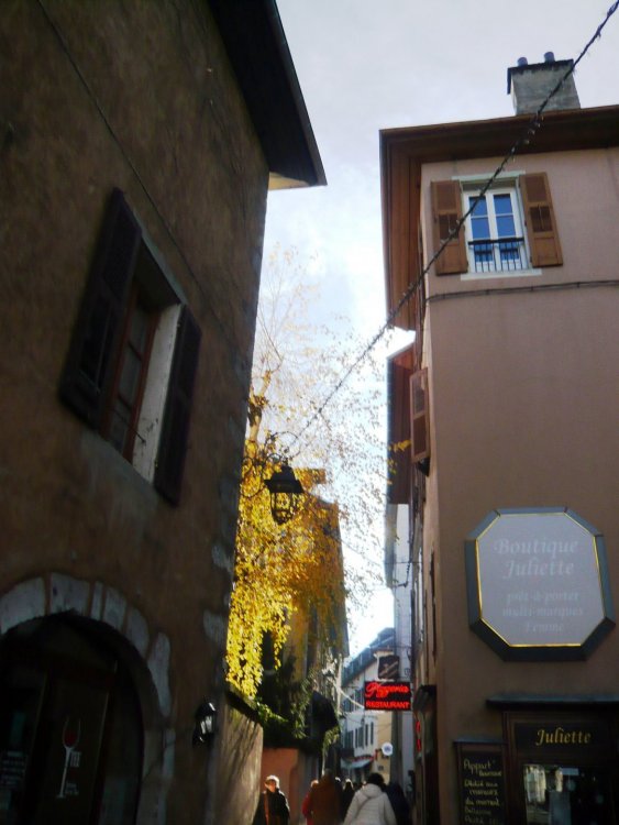 2019-12-15 15-40-37.JPG