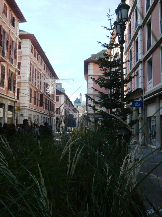 2019-12-15 15-40-33.JPG