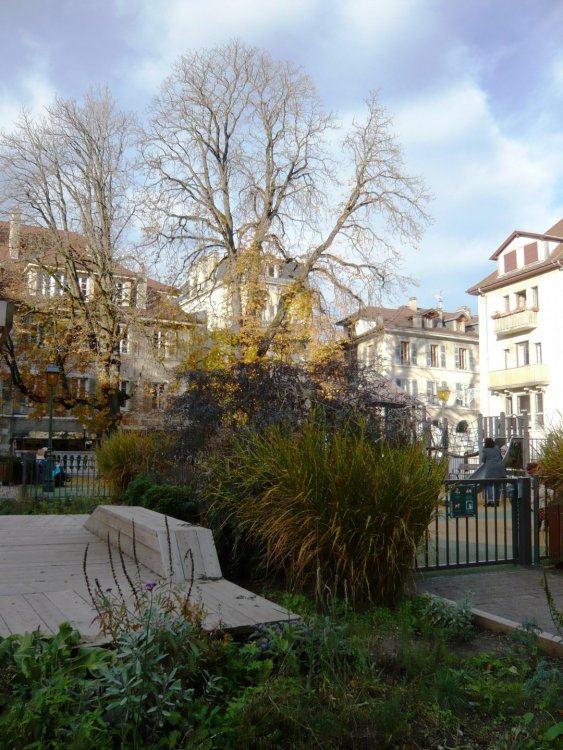 2019-12-15 15-23-53.JPG