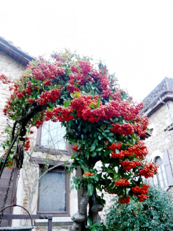 2019-12-16 09-42-02 (2).JPG