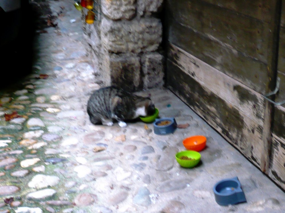 2019-12-16 09-41-46.JPG