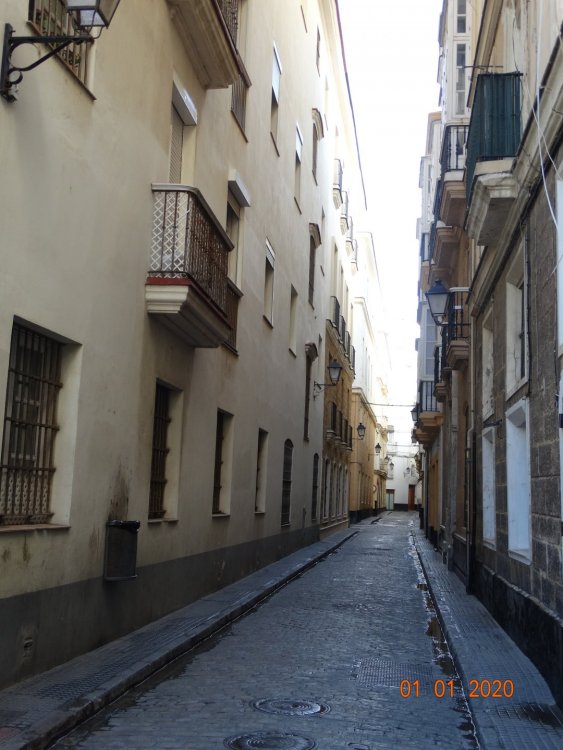 DSC05935 — копия.JPG