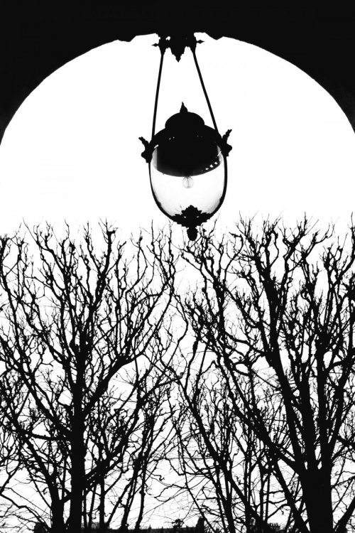 IMG_5303 копия.jpg