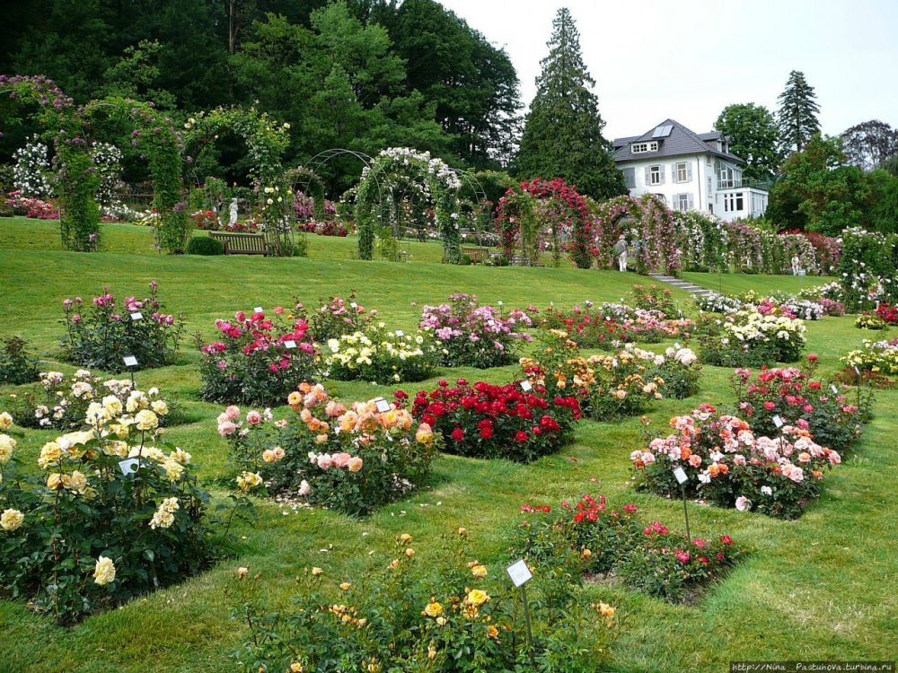 БаденБаден Ботанический сад Гённеранлаге.jpg