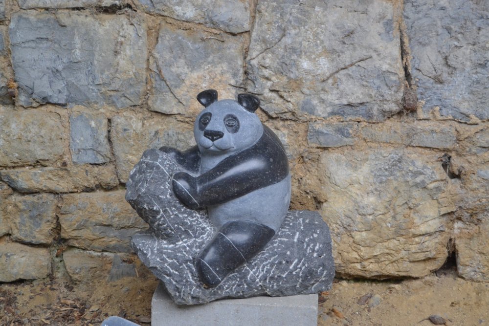 DSC_0122 - копия.JPG