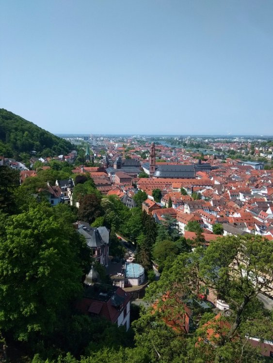 Гейдельберг 7.jpg