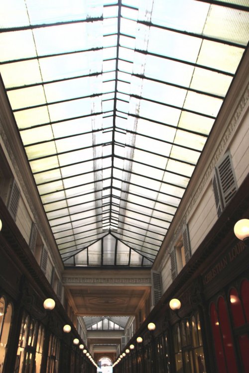 IMG_5232 копия.jpg