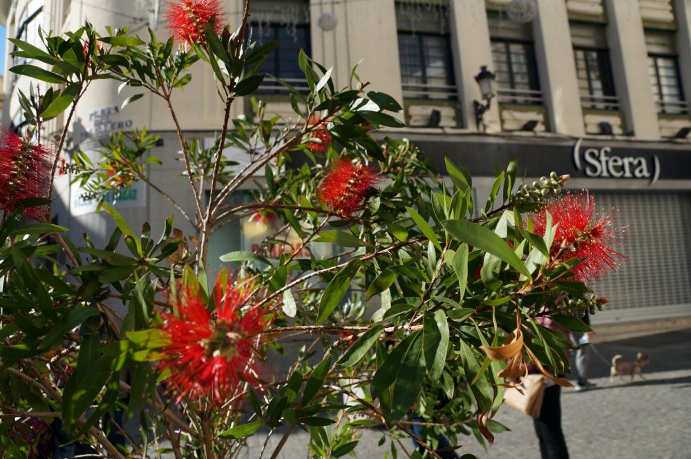 DSC07836.JPG