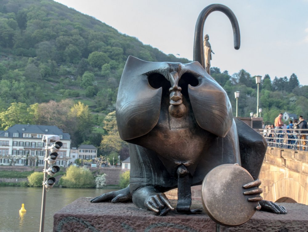 heidelberg-monkey-and-mirror.jpg