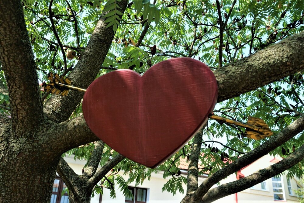 Брест 2 день дерево.jpg