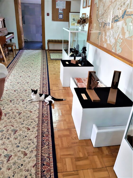 Брест 2 день музей истории Бреста кошка.jpg