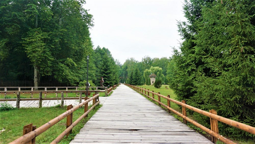 Беловежская  пуща( поместье6).jpg