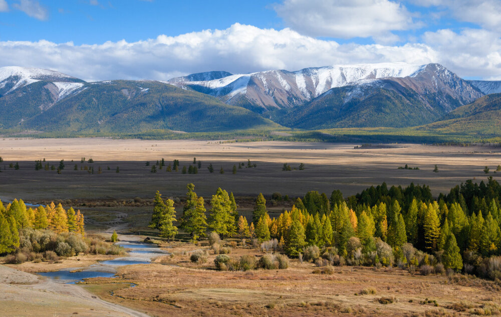 11. Курайская степь.jpg