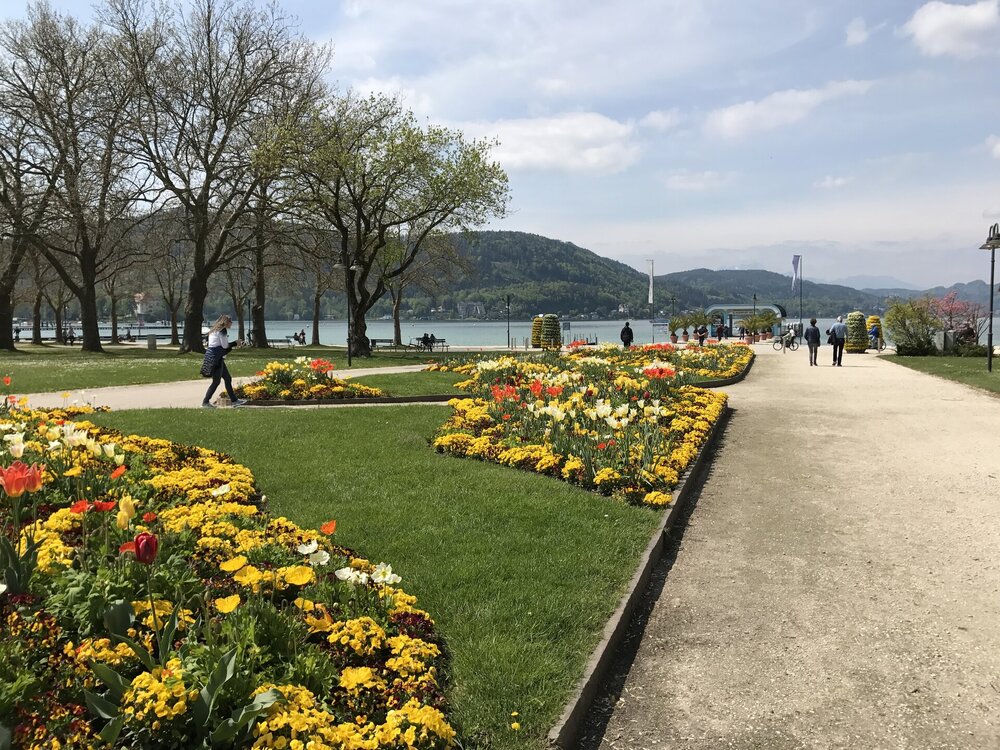 2017-05-01 11.38.34.jpg