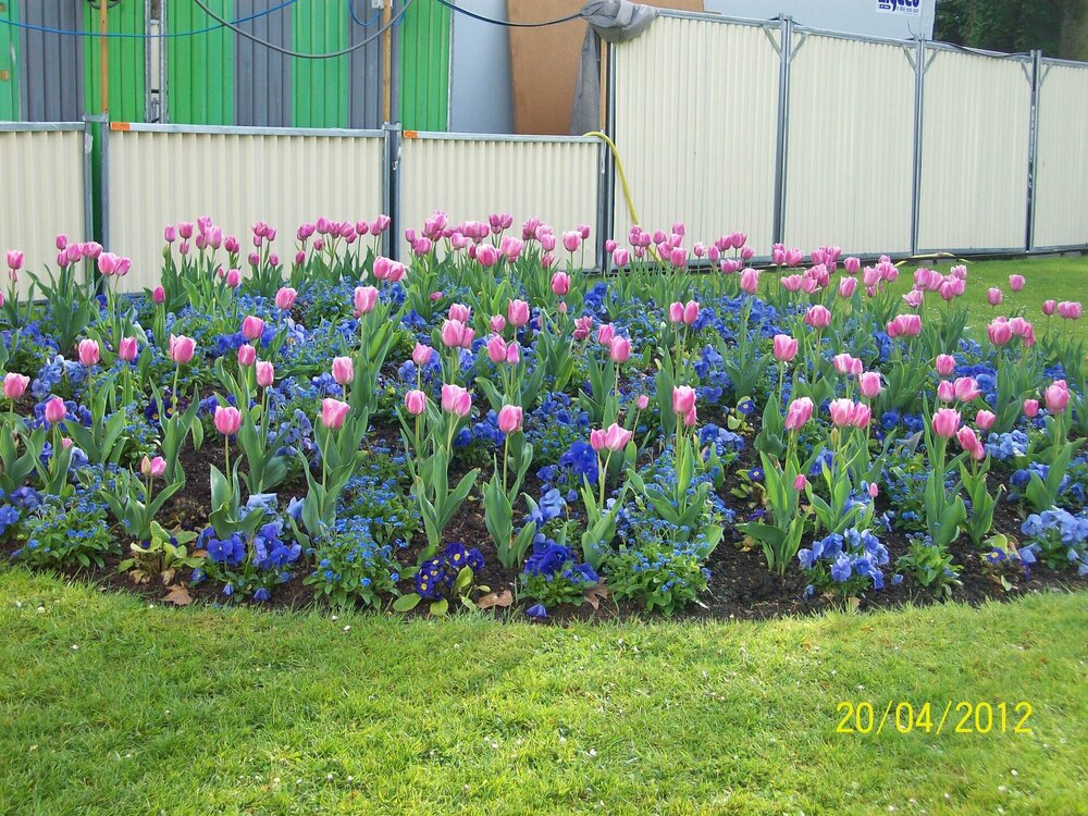 Весна-2012 042.jpg
