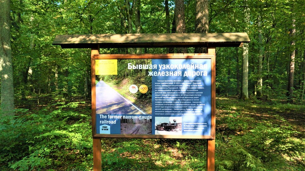 Беловежская  пуща( велосипед9).jpg