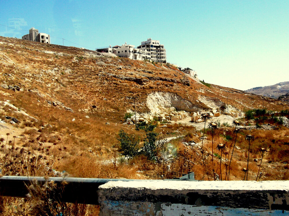 DSCF0176.jpg